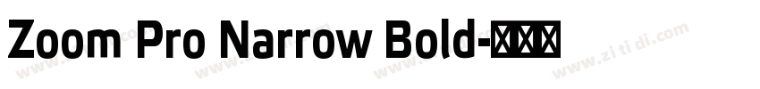 Zoom Pro Narrow Bold字体转换
